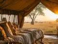 Trouver le meilleur logement pour un safari en Afrique